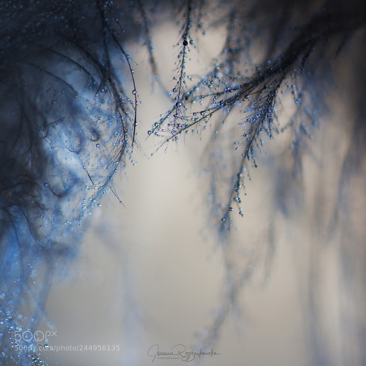 Canon EOS 50D sample photo. Tears...sorrows photography