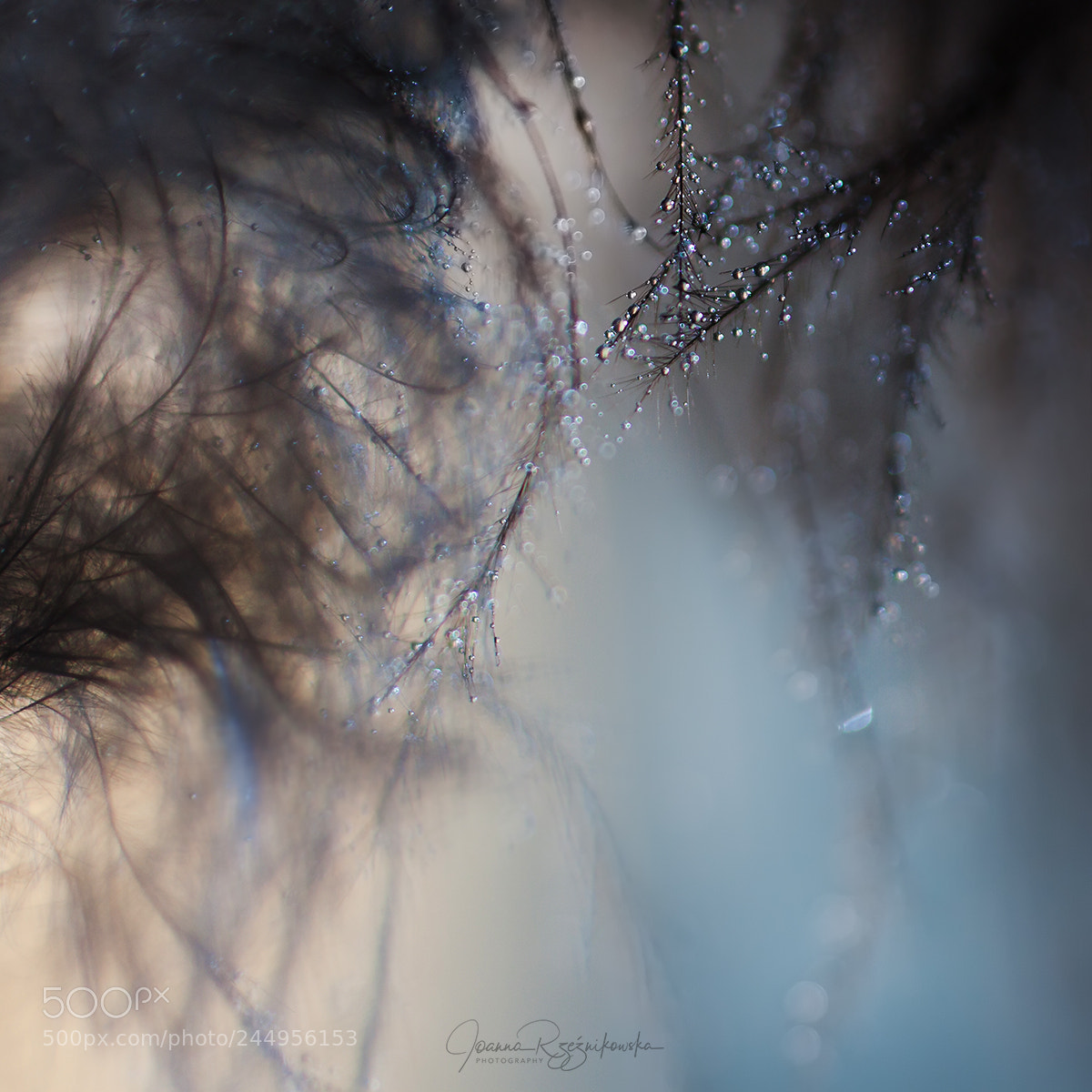 Canon EOS 50D sample photo. Tears...sorrows photography
