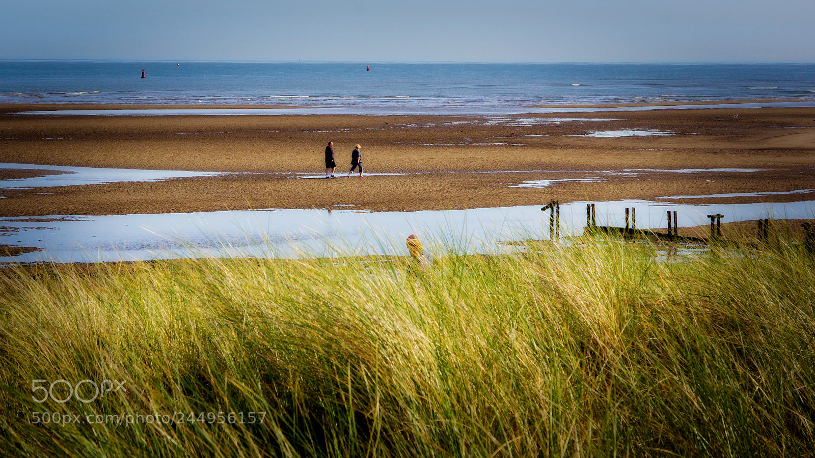 Sony SLT-A65 (SLT-A65V) sample photo. Malahide bach photography