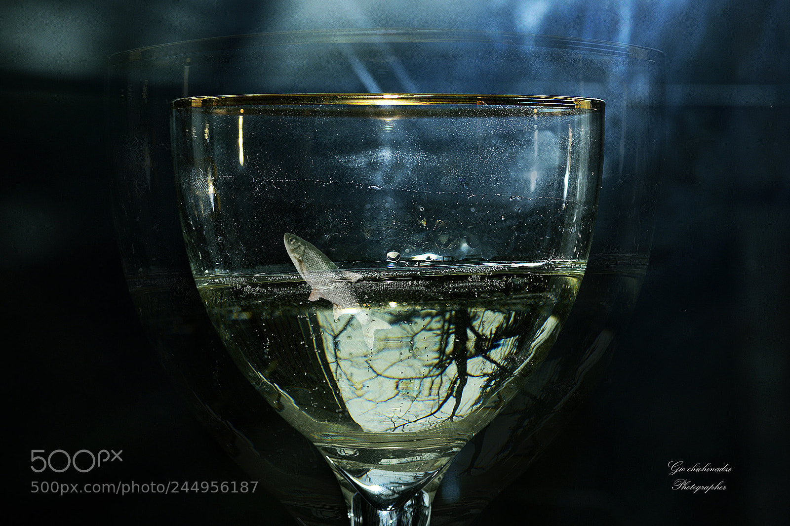 Nikon D3200 sample photo. Untitled photography
