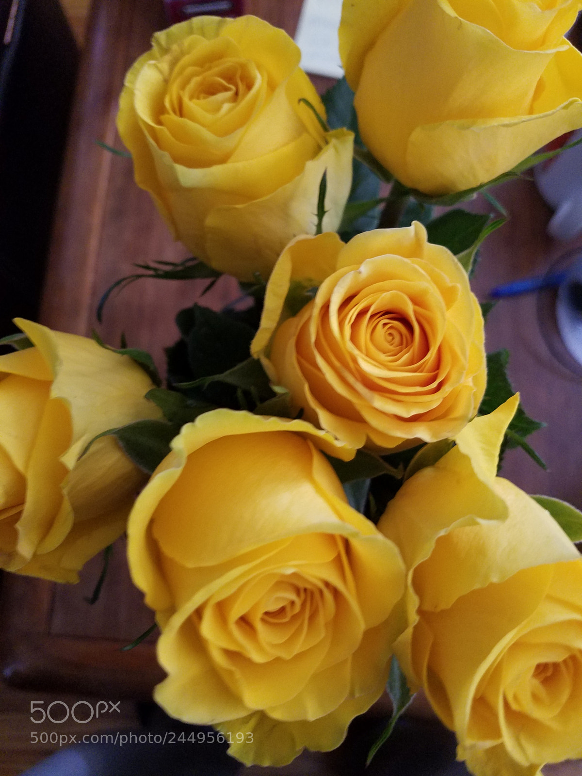 Samsung Galaxy S7 sample photo. Yellow roses in february.jpg photography