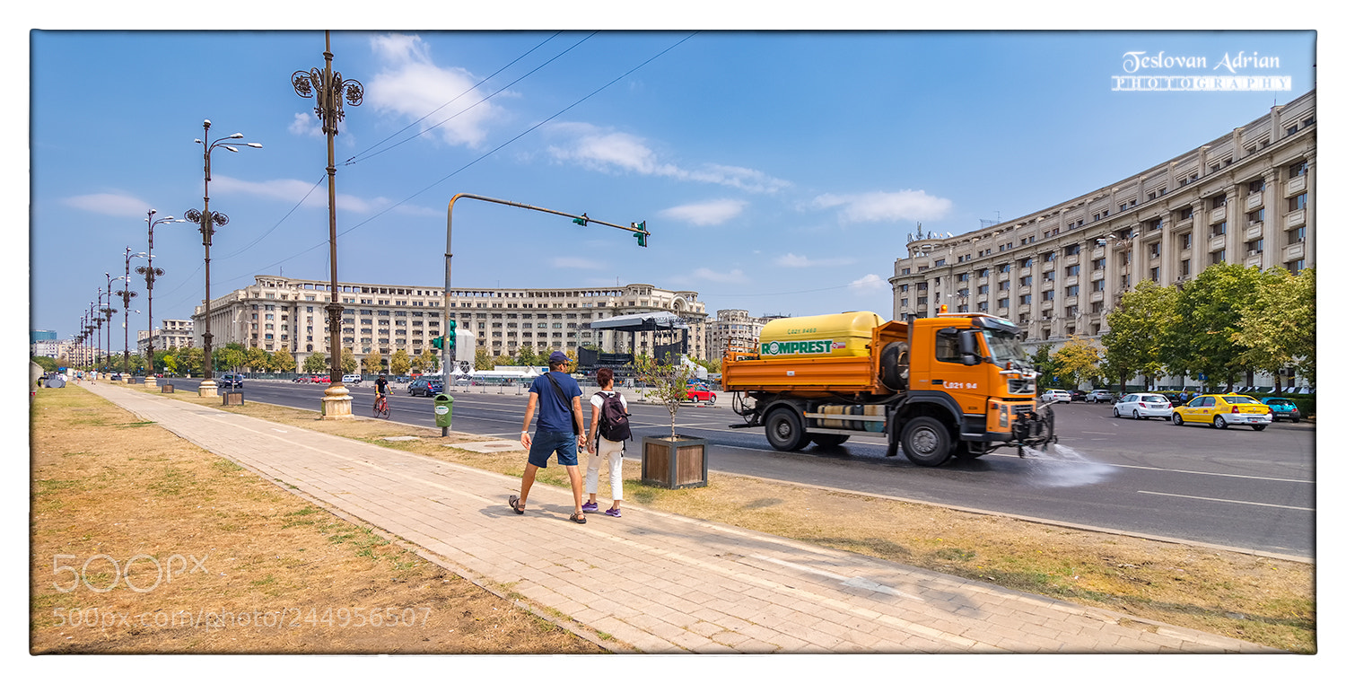 Canon EOS 7D Mark II sample photo. Cleaning... photography