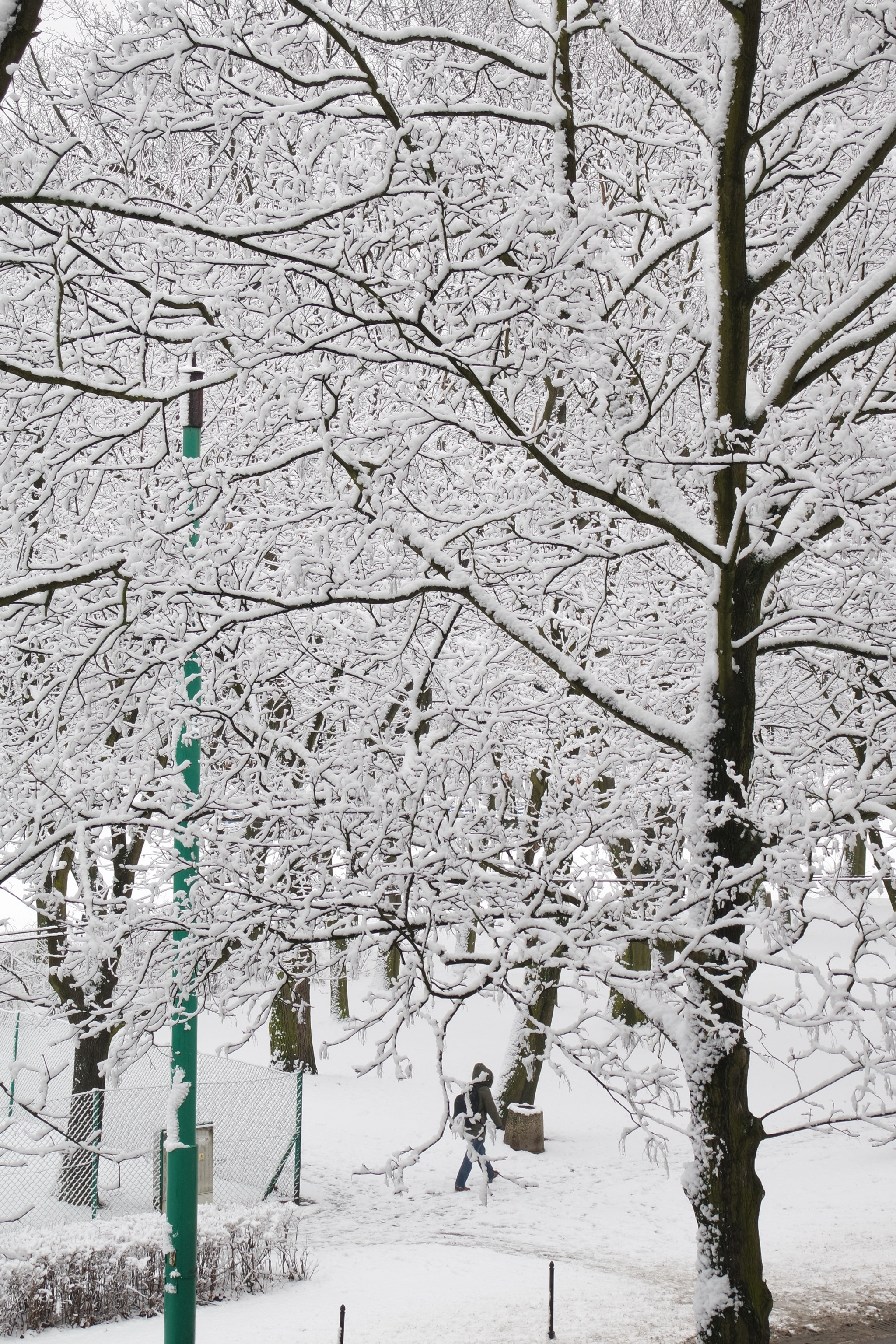 Samsung NX mini sample photo. Snowy morning photography