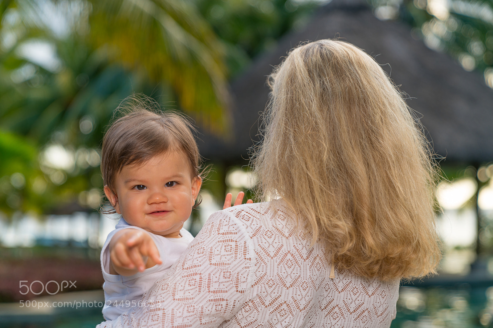 Sony a7R II sample photo. A little bit of photography
