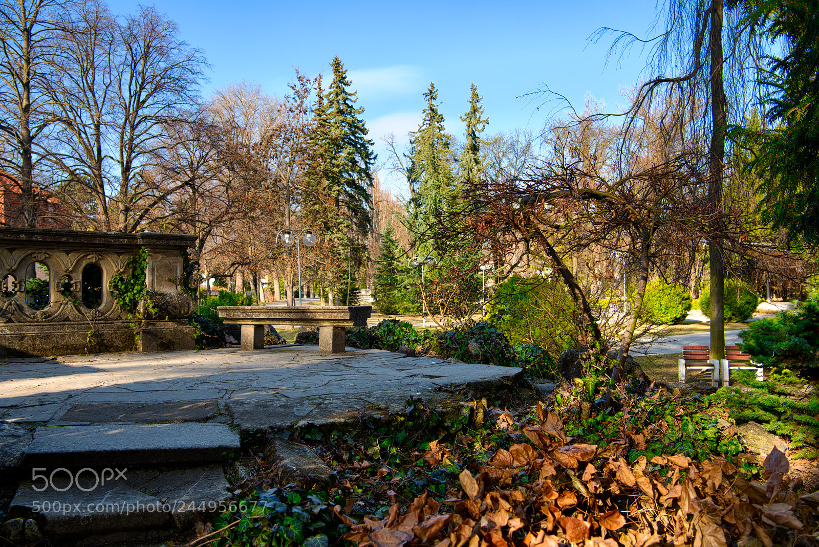 Nikon D810 sample photo. In the early evening photography