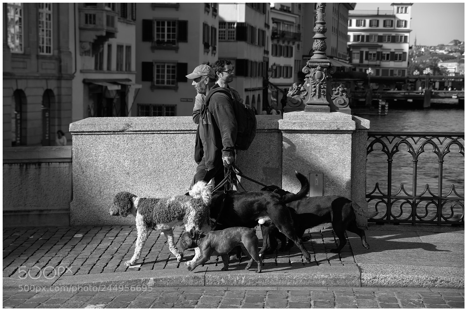 Nikon D800E sample photo. Street 5 photography