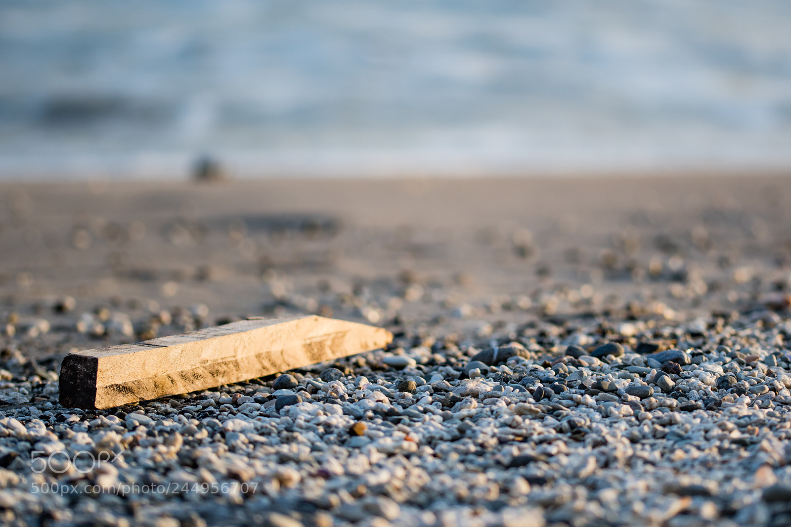 Nikon D500 sample photo. Detalles en la playa photography