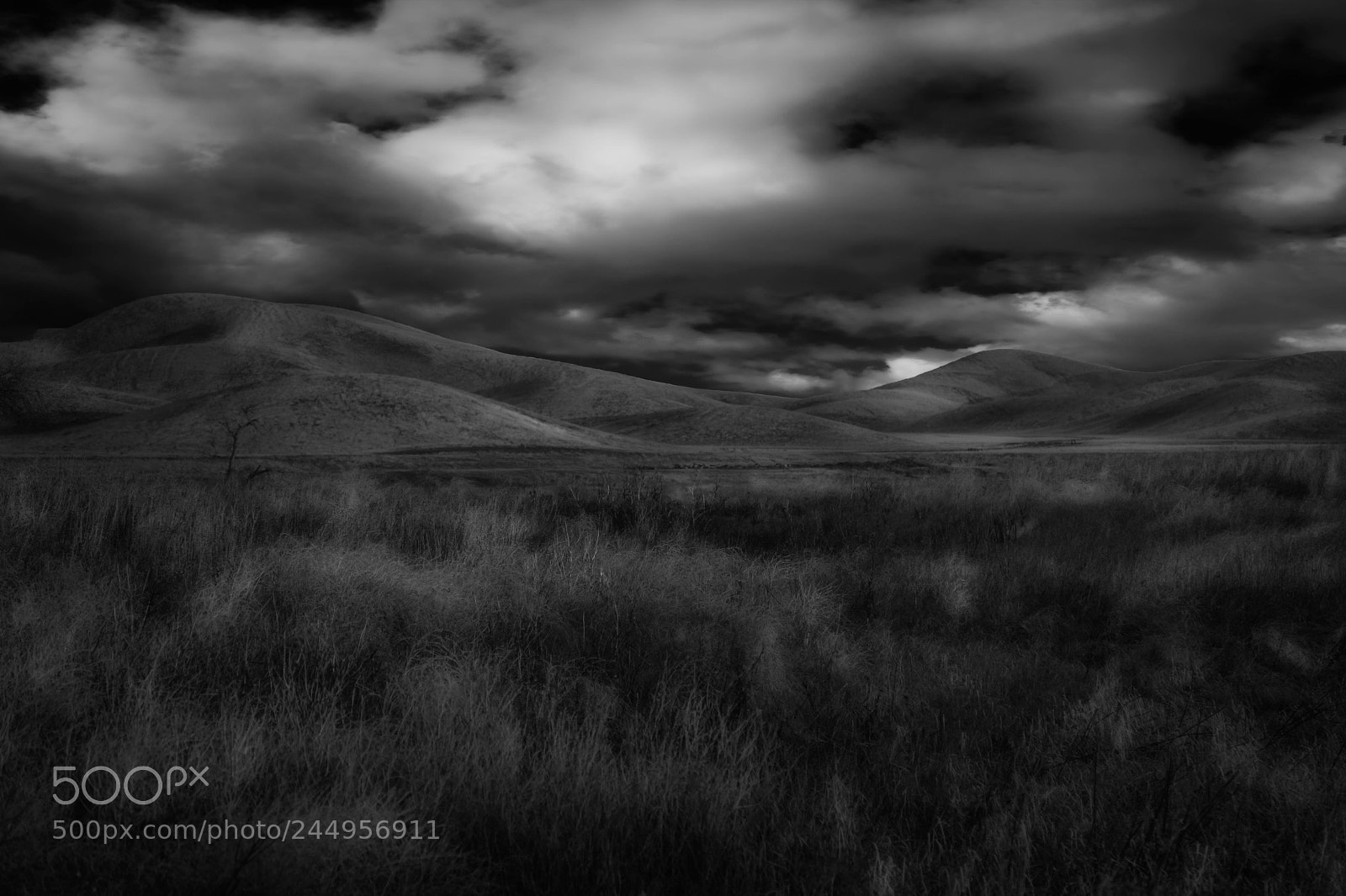 Canon EOS 6D Mark II sample photo. Between storms photography