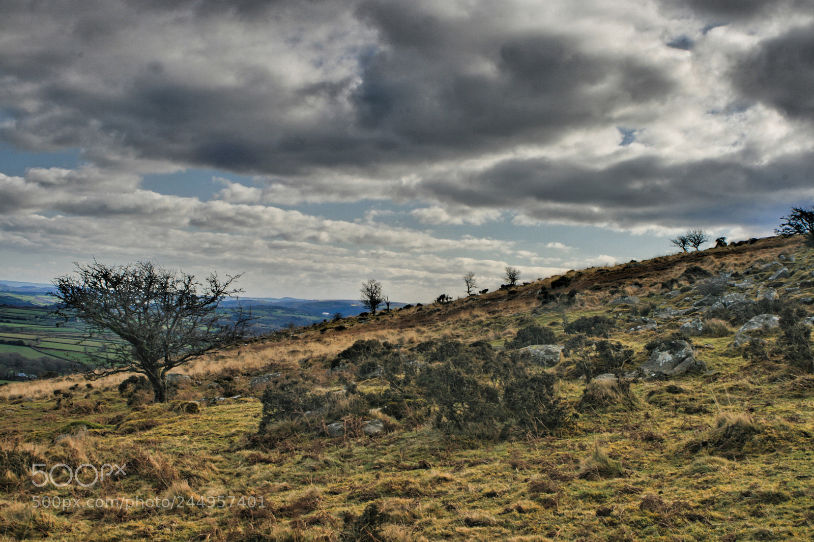 Canon EOS 400D (EOS Digital Rebel XTi / EOS Kiss Digital X) sample photo. Dartmoor photography