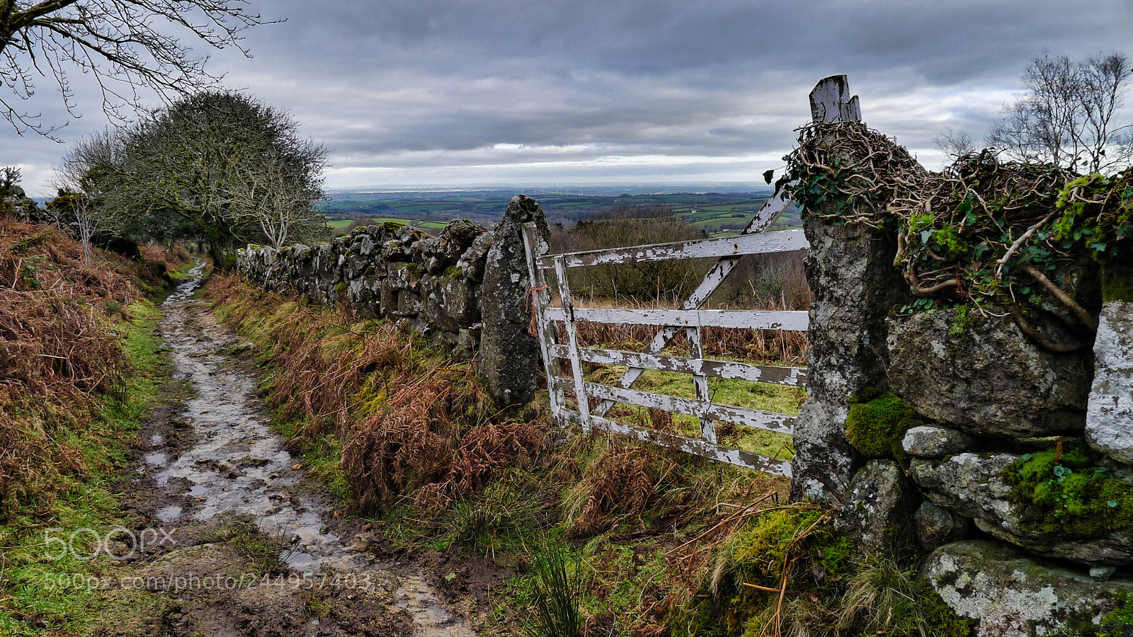 Panasonic Lumix DMC-LX5 sample photo. Dartmoor byways photography