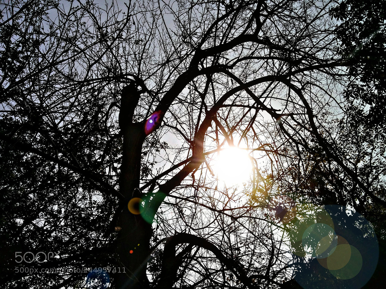 LG Nexus 5 sample photo. # 尼斯的气氛 # photography