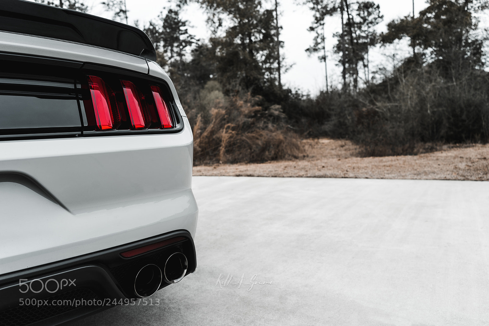 Sony a7S II sample photo. Ford shelby gt350r photography