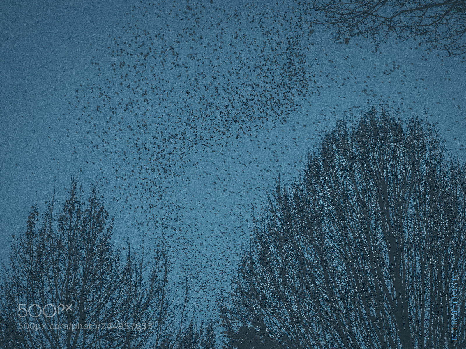 Fujifilm X-T1 sample photo. T h e w photography