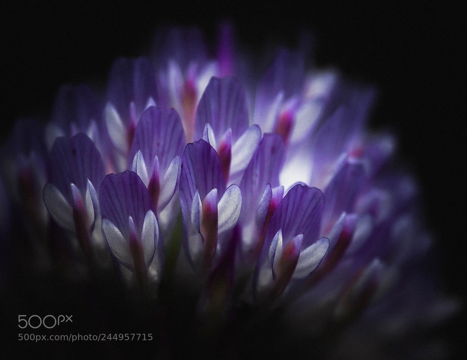 Nikon D5100 sample photo. !... photography