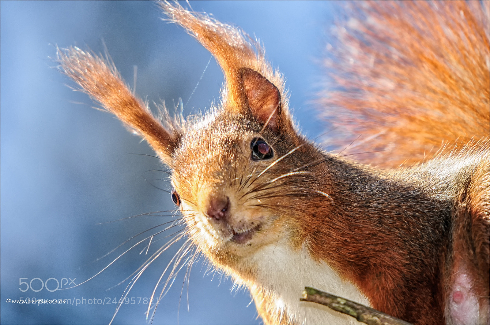Nikon D300 sample photo. Guckst du ... photography