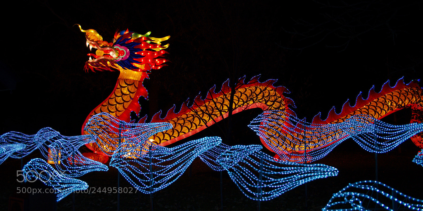 Nikon D5100 sample photo. Dragon lantern photography
