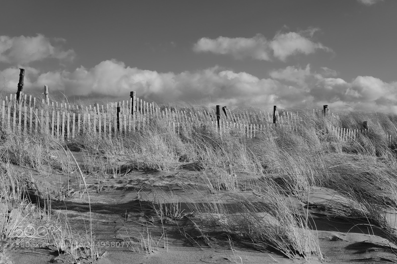 Fujifilm X-Pro2 sample photo. Hermit island photography