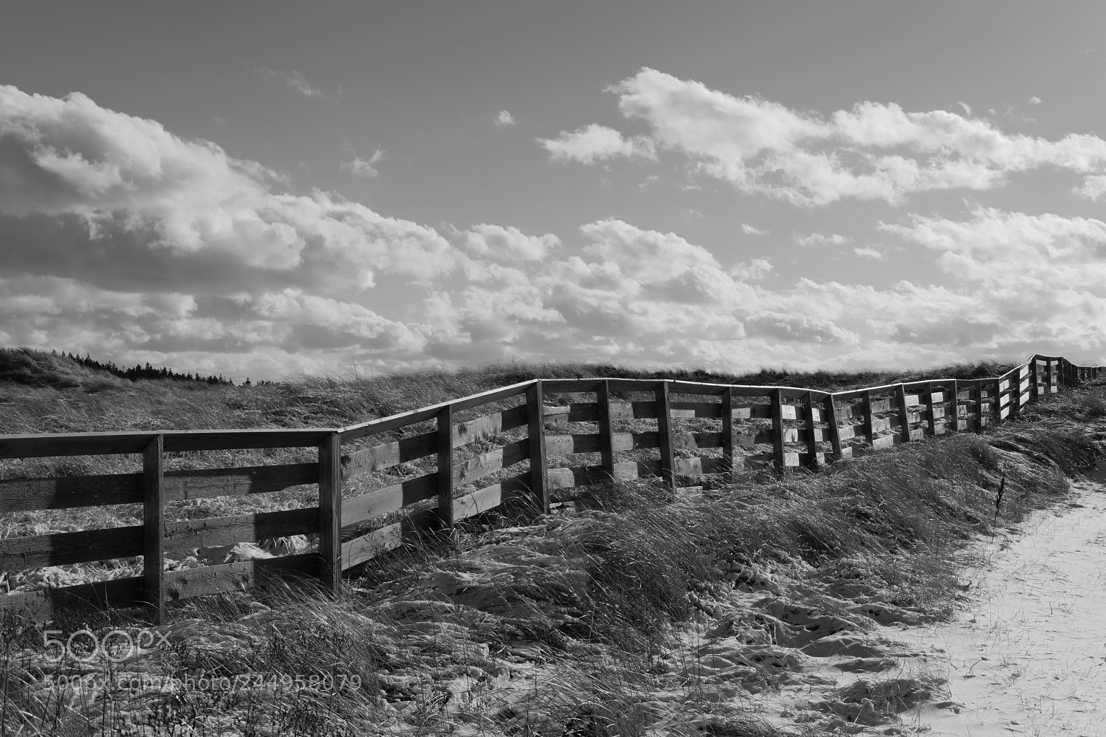 Fujifilm X-Pro2 sample photo. Hermit island photography