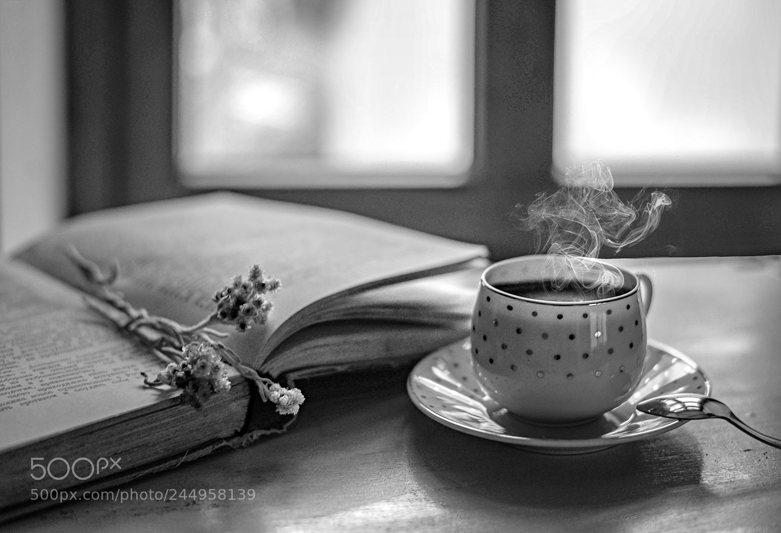 Nikon D610 sample photo. I love coffee! photography