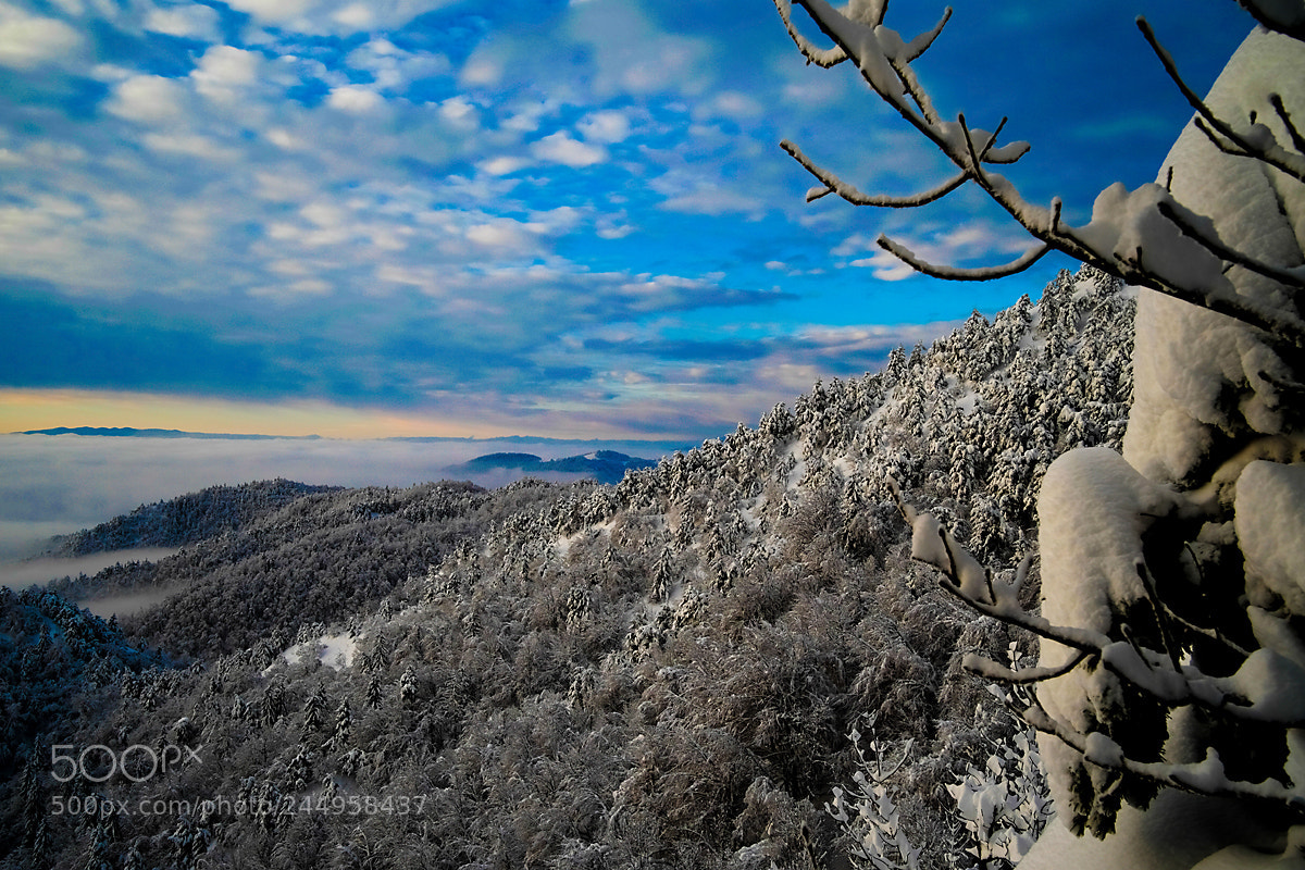 Fujifilm X-T10 sample photo. Snow story photography