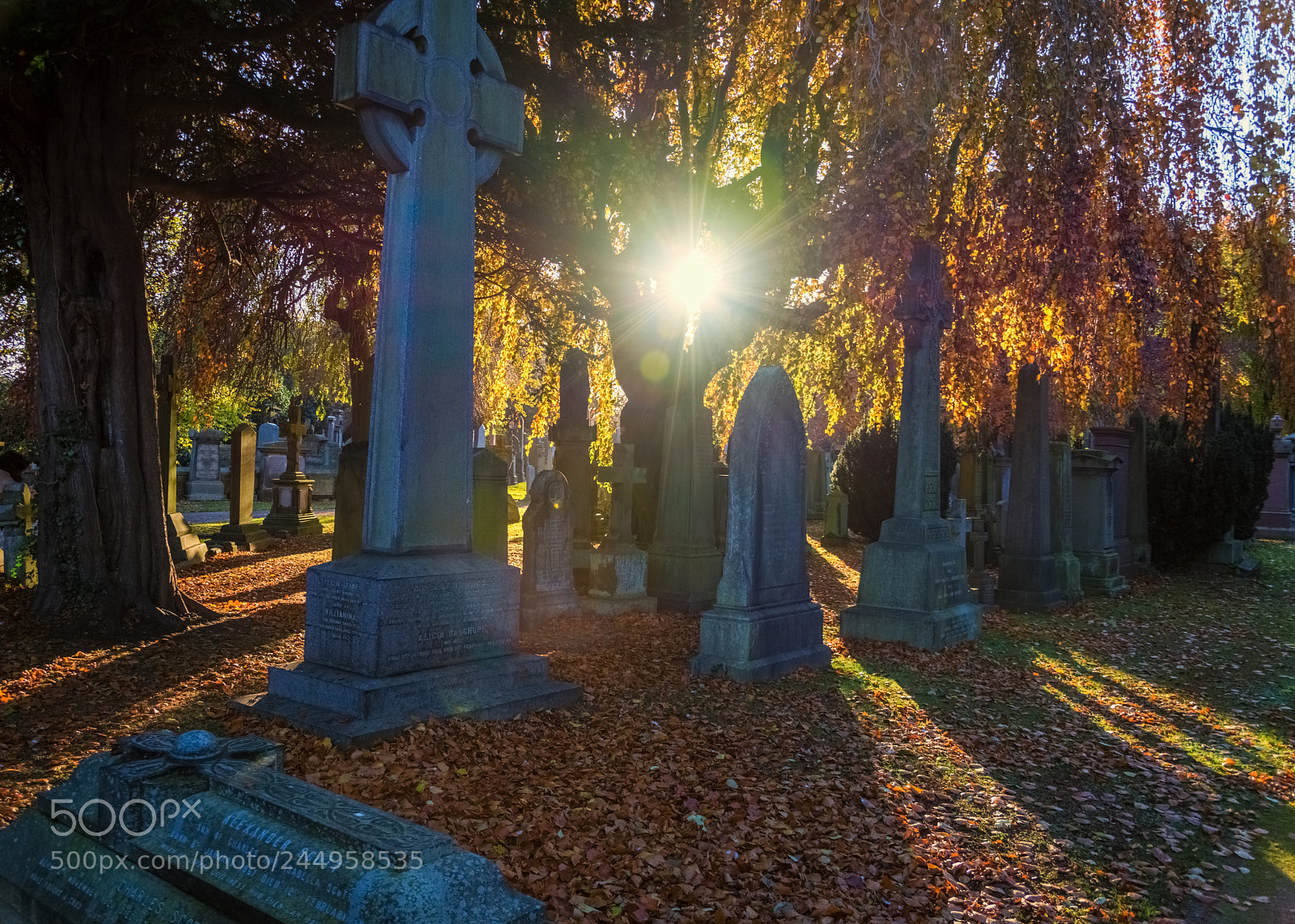 Nikon D7200 sample photo. Dean cemetery edinburgh photography