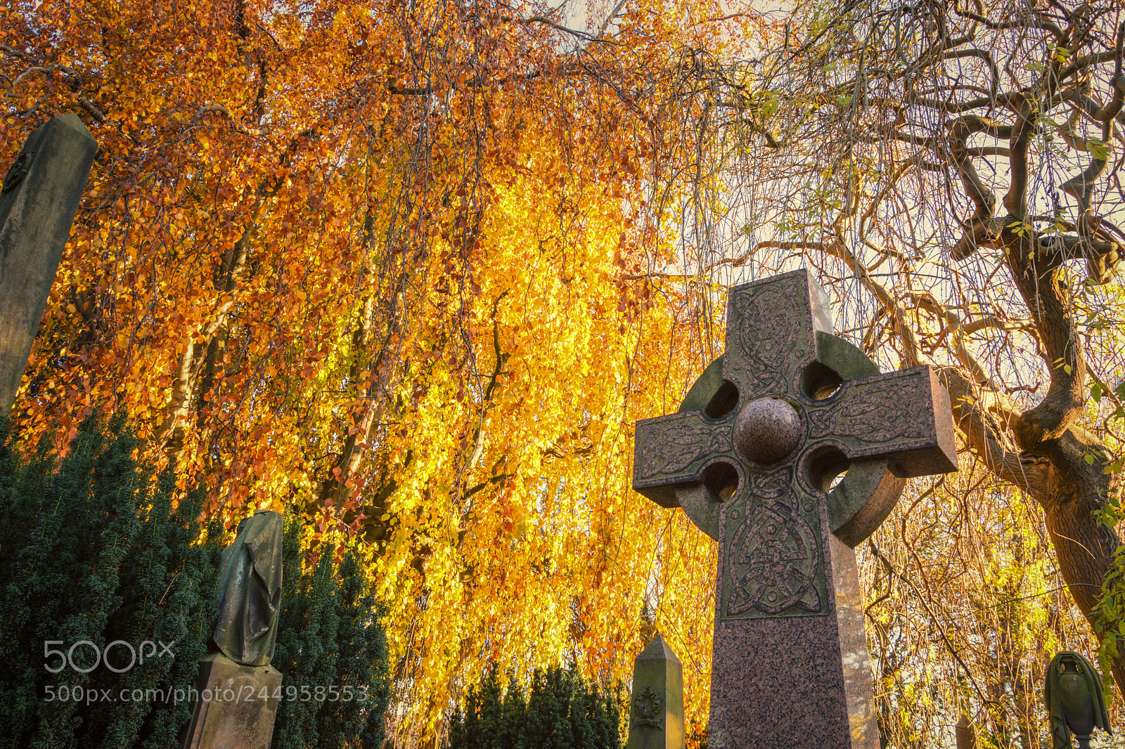 Nikon D7200 sample photo. Dean cemetery edinburgh photography