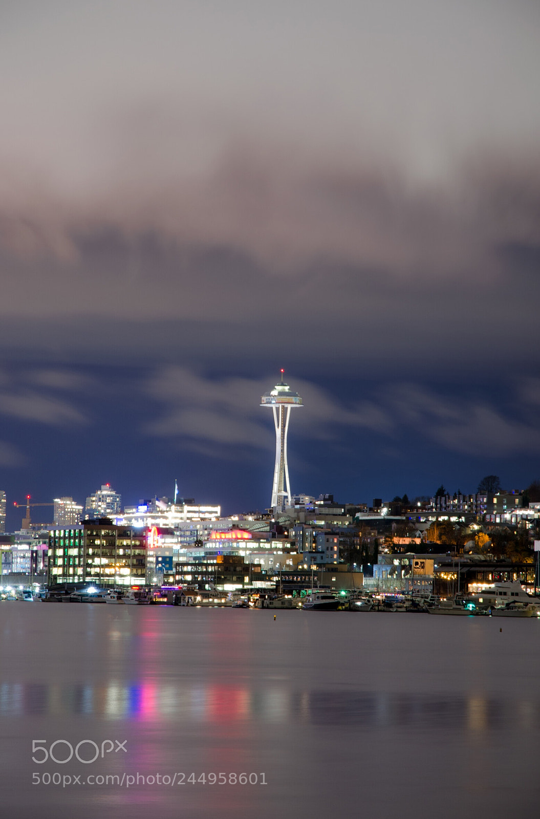 Nikon D5100 sample photo. The space needle photography