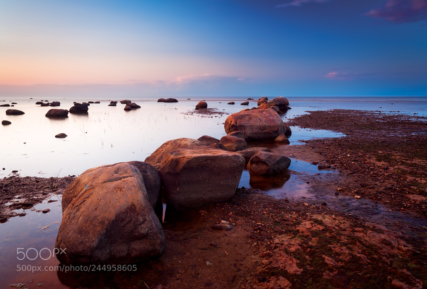 Canon EOS-1Ds Mark II sample photo. Yx photography