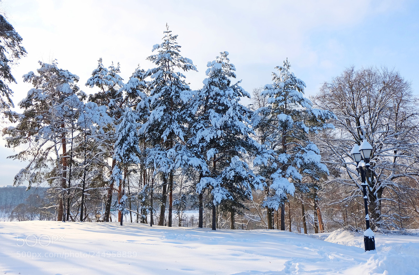 Fujifilm X-M1 sample photo. Winter photography