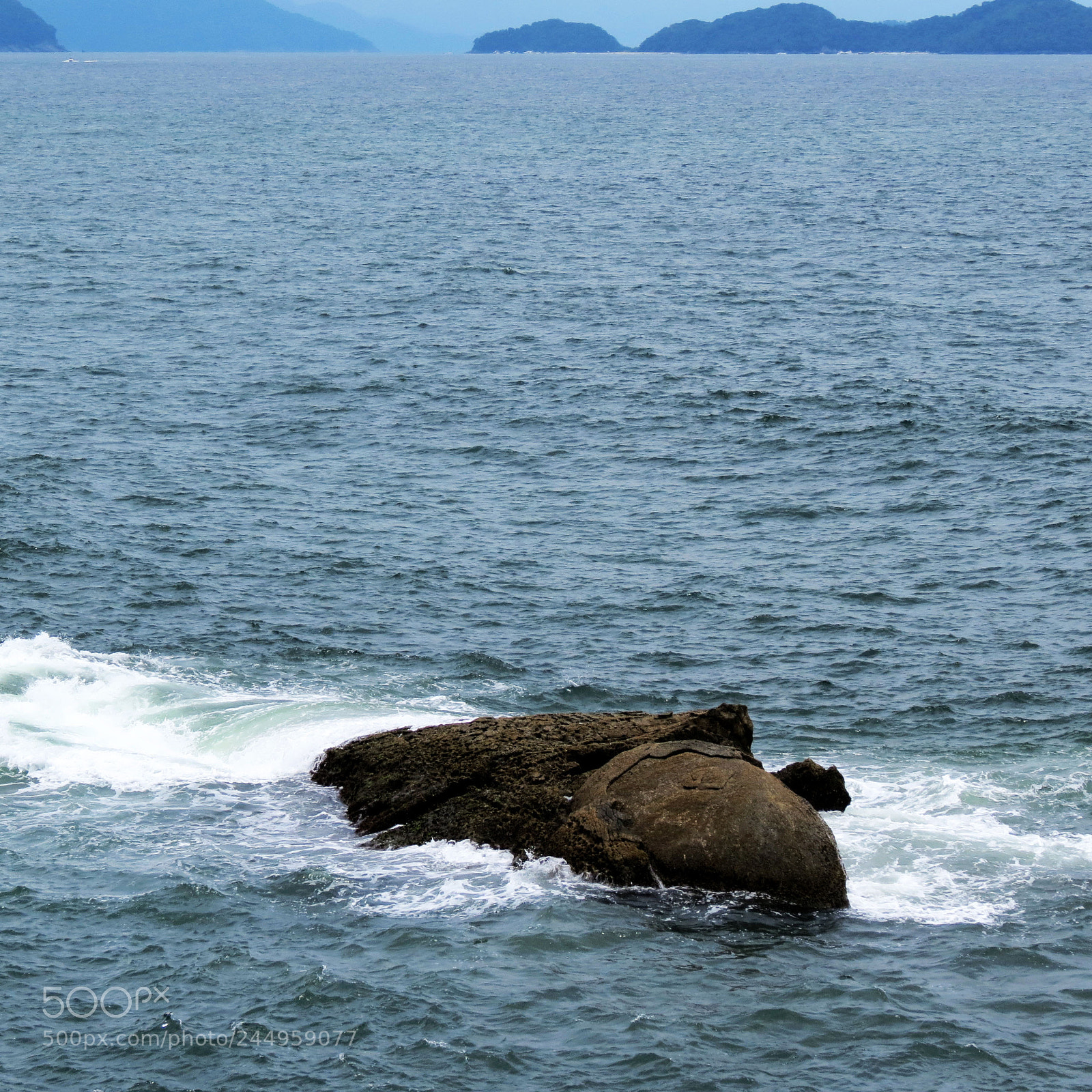 Canon PowerShot SX40 HS sample photo. Relax time !!! photography
