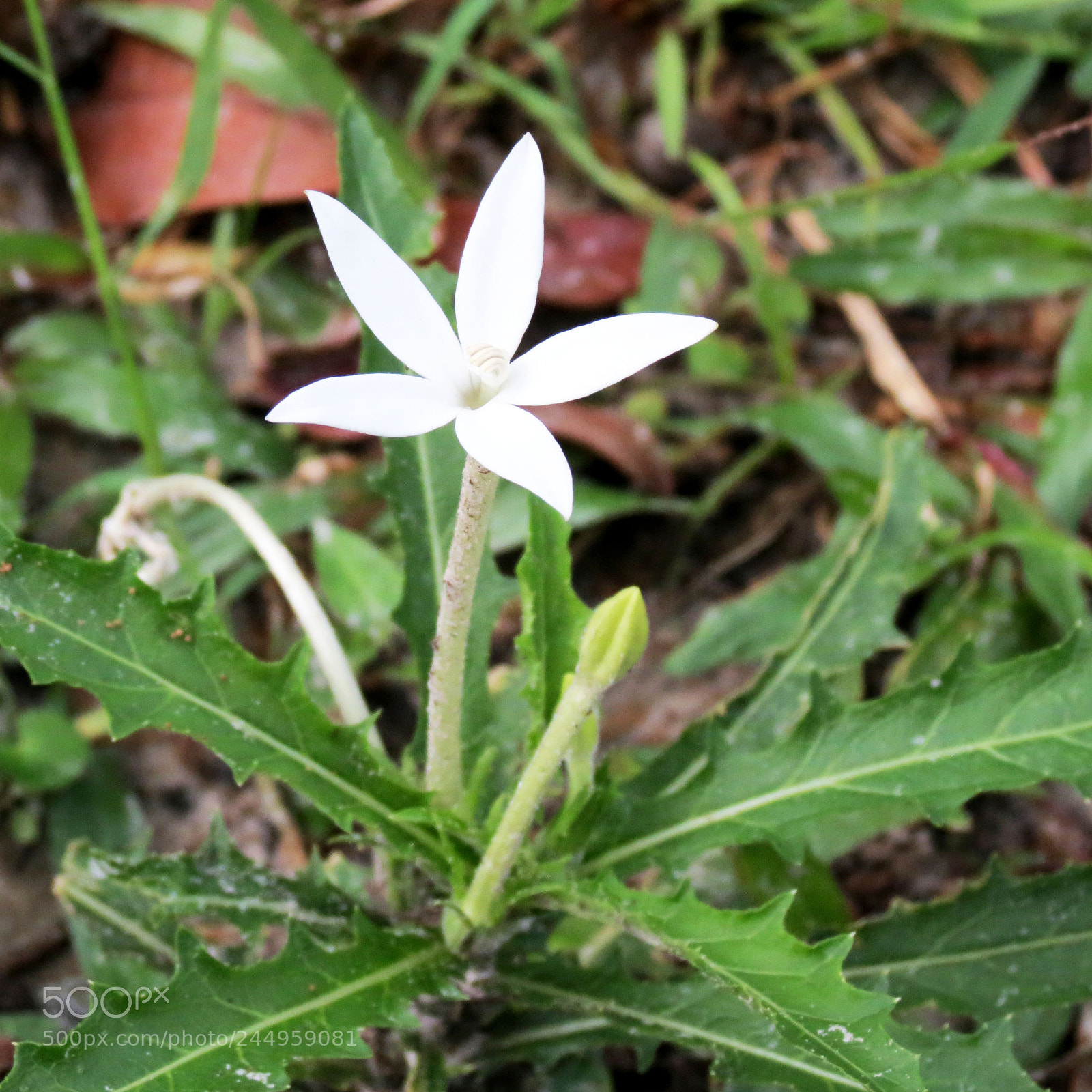 Canon PowerShot SX40 HS sample photo. Relax time !!! photography