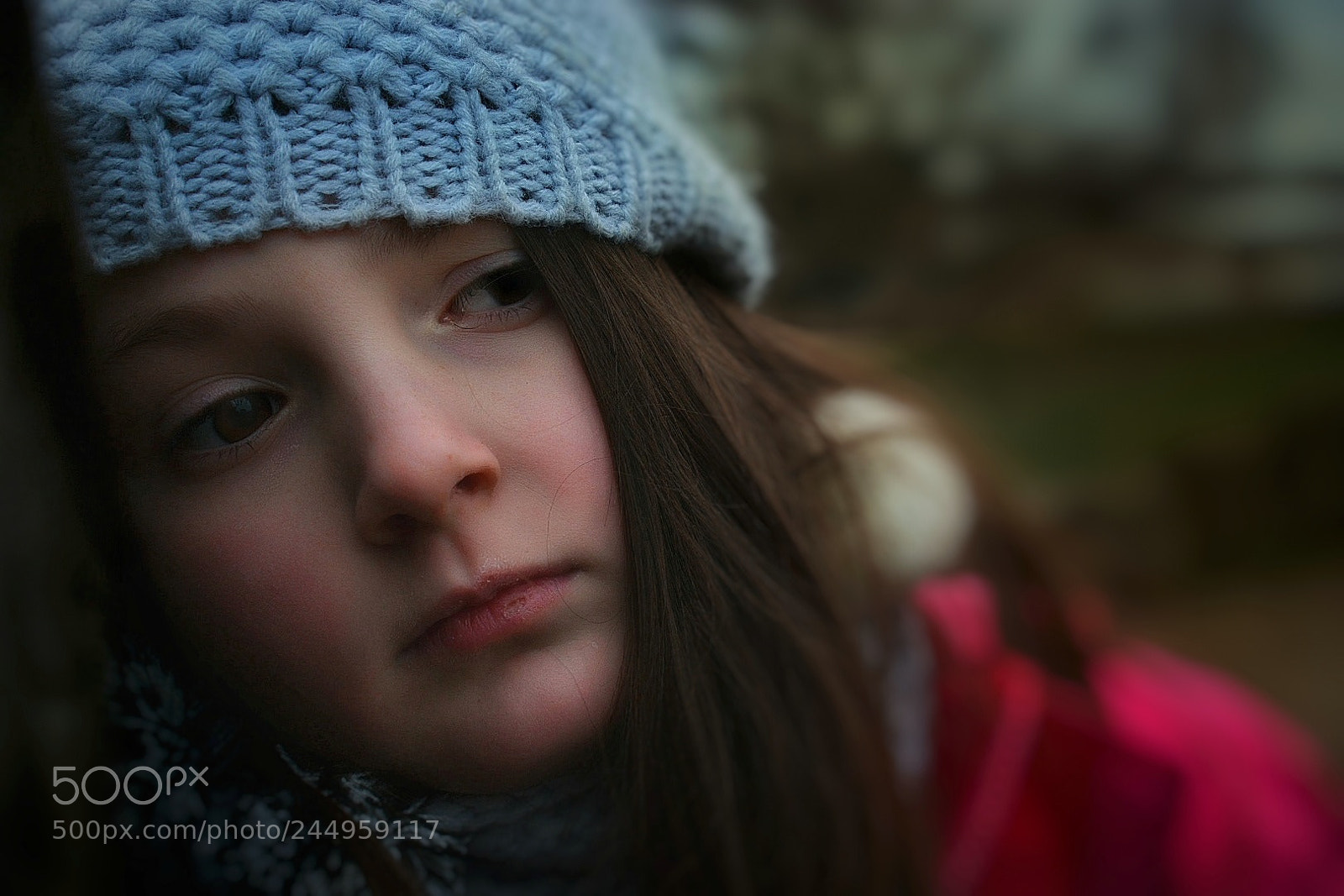 Nikon D3400 sample photo. Winter moods photography