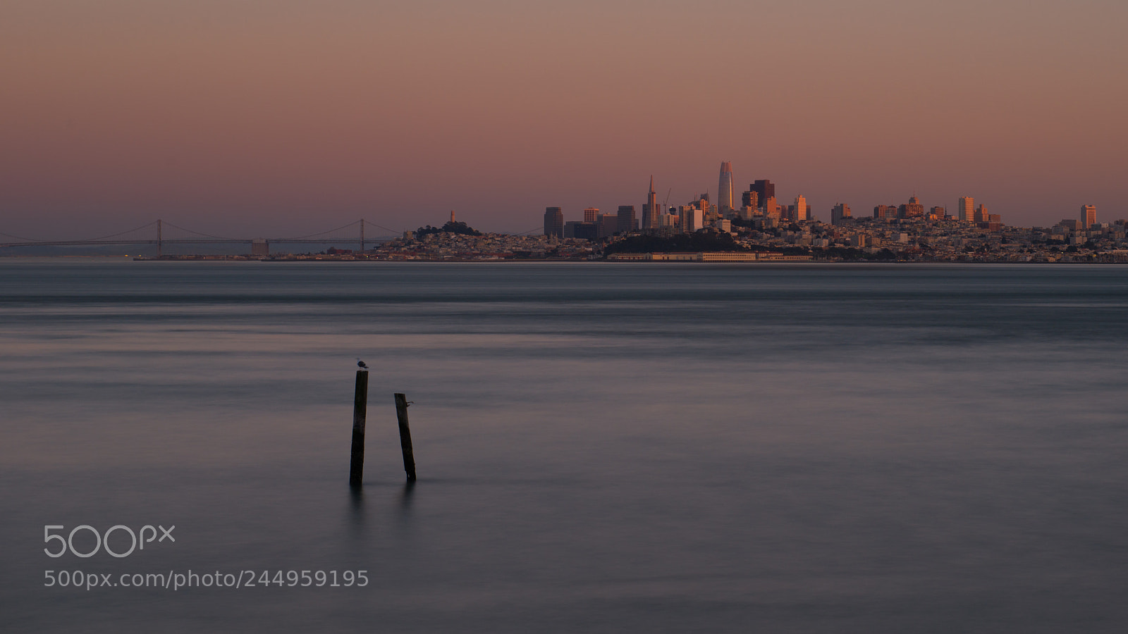 Nikon D800 sample photo. Goldengate photography
