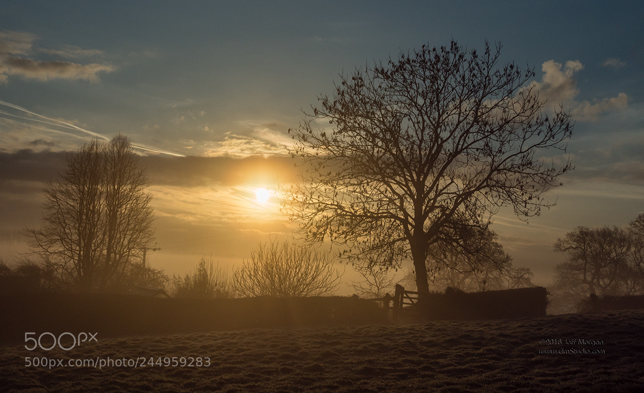 Panasonic Lumix DC-G9 sample photo. Misty morning in ashey photography
