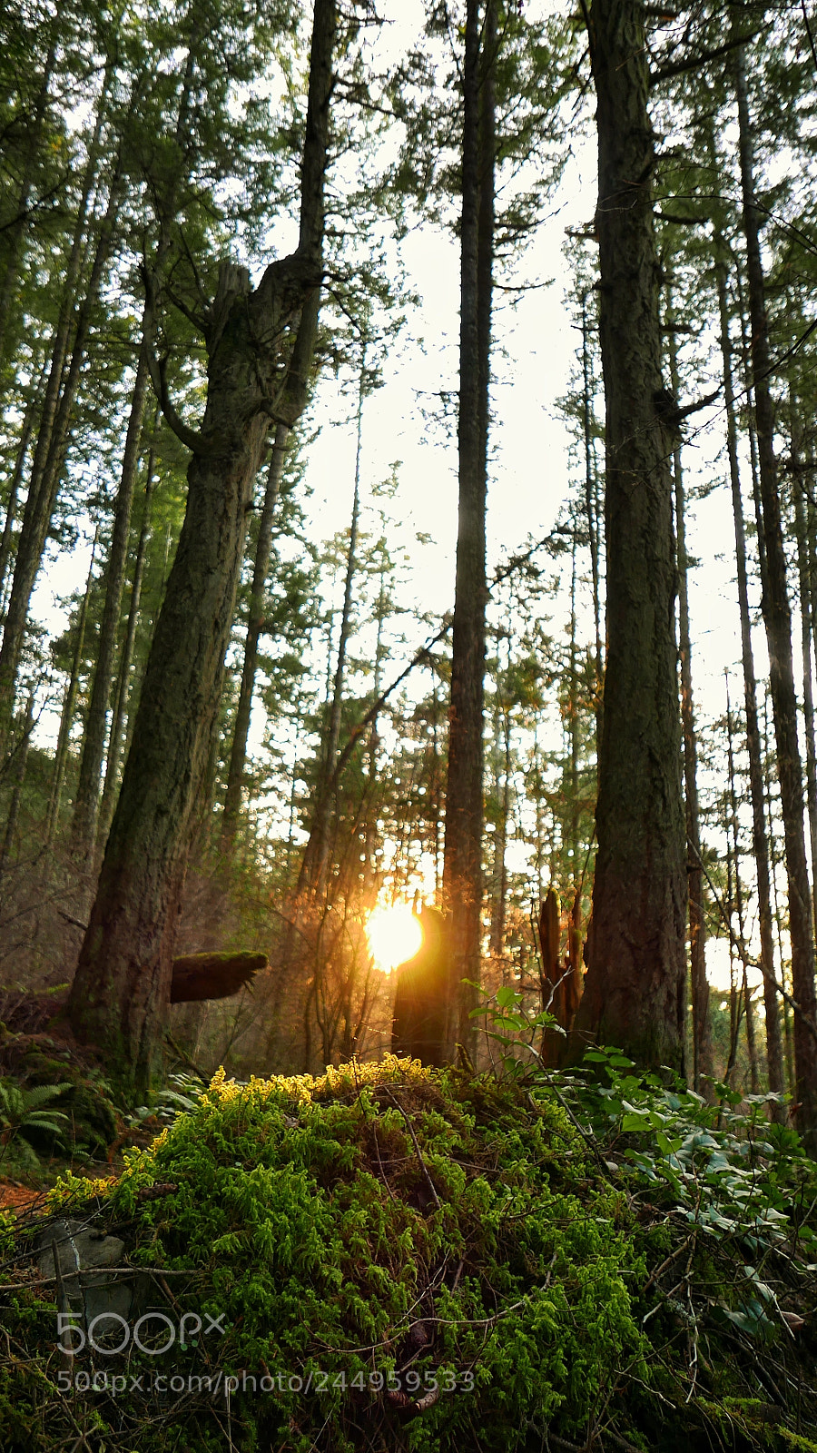 Panasonic Lumix DMC-LX100 sample photo. Sunset with the elders photography