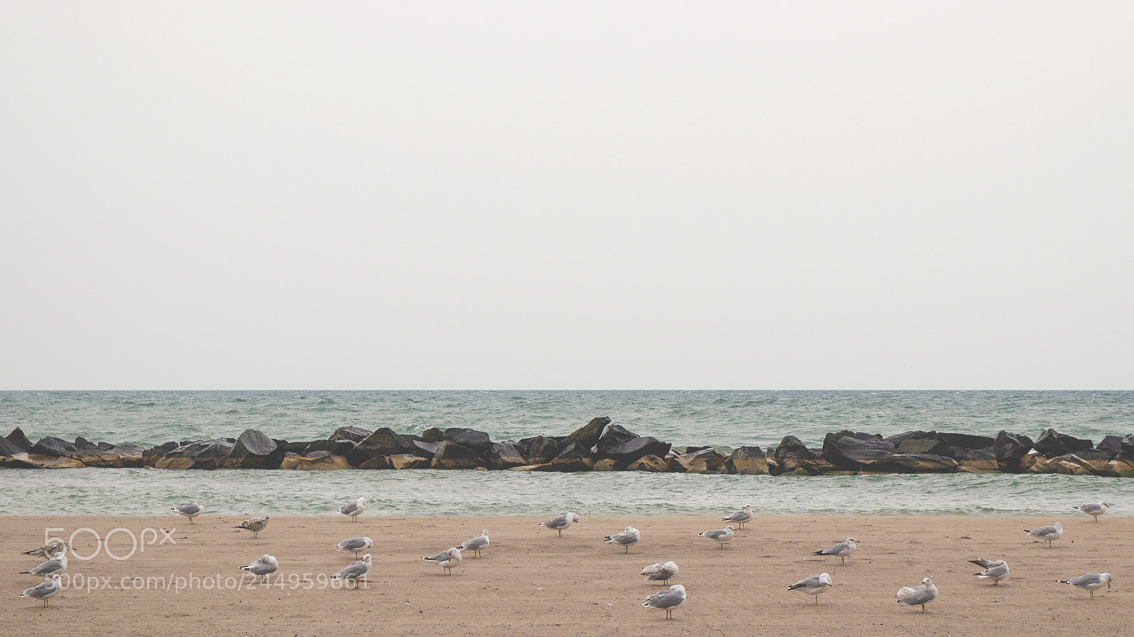 Canon EOS 100D (EOS Rebel SL1 / EOS Kiss X7) sample photo. Lake ontario photography