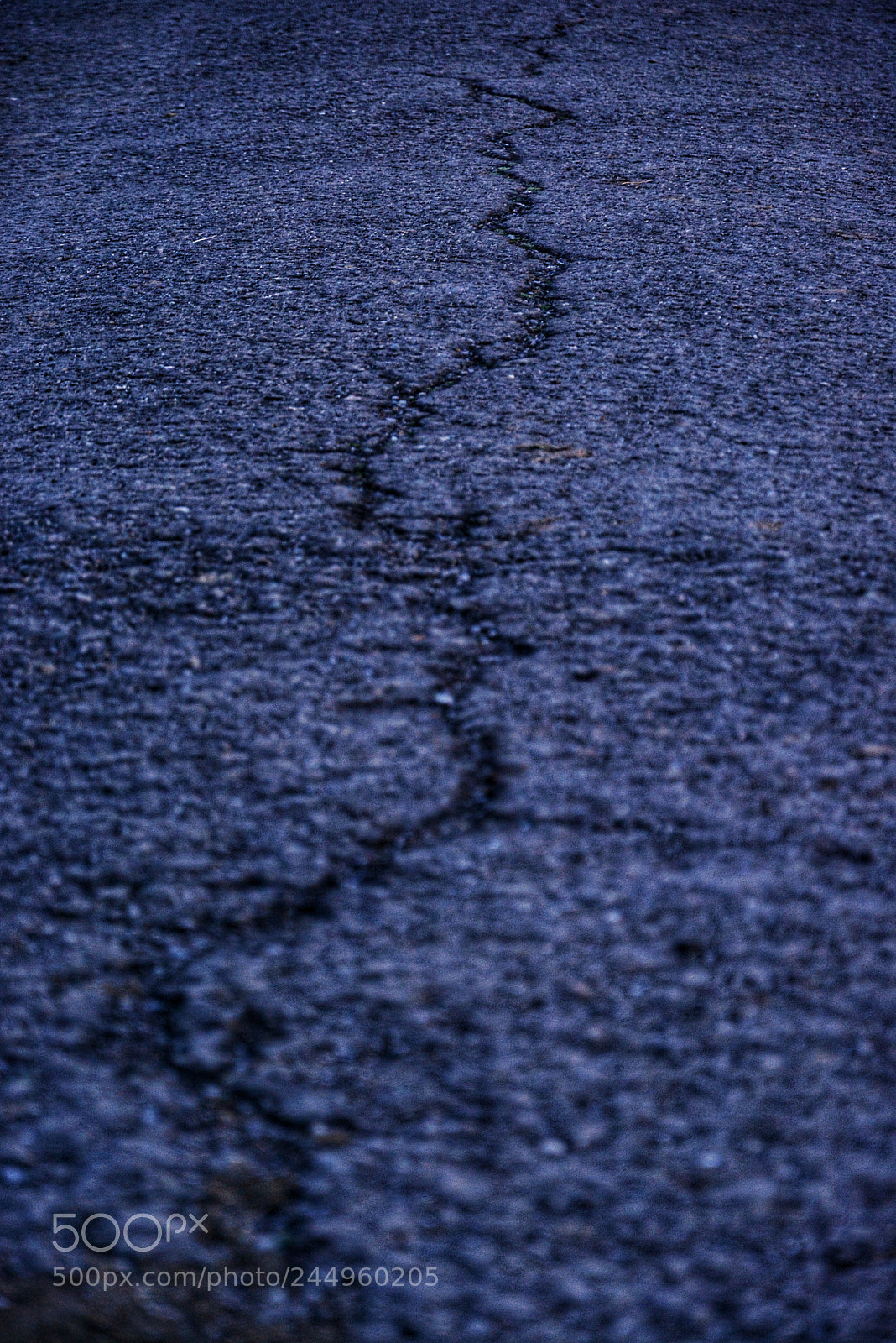 Nikon D7100 sample photo. Rupture photography