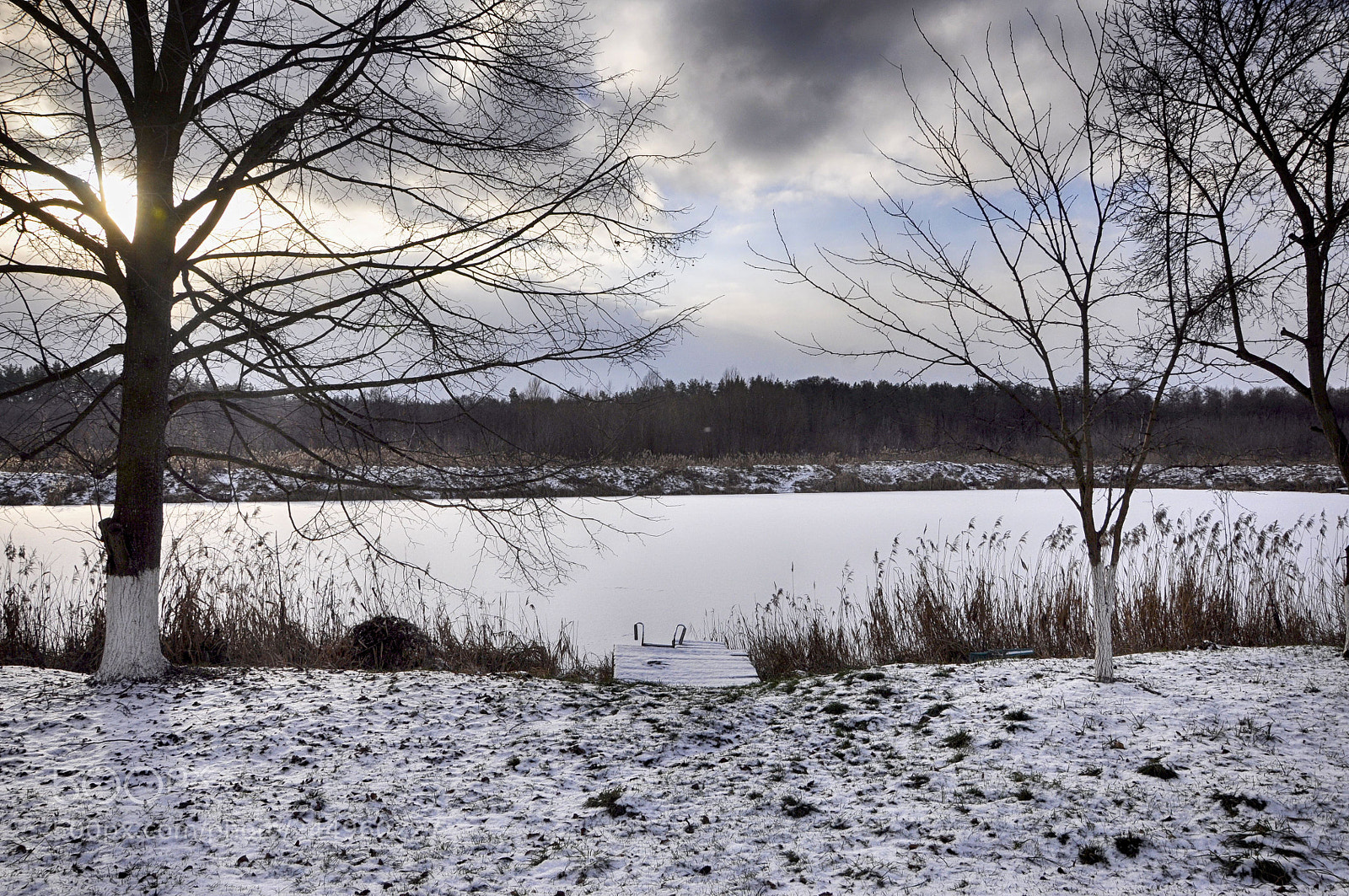 Nikon D90 sample photo. Winter lake photography