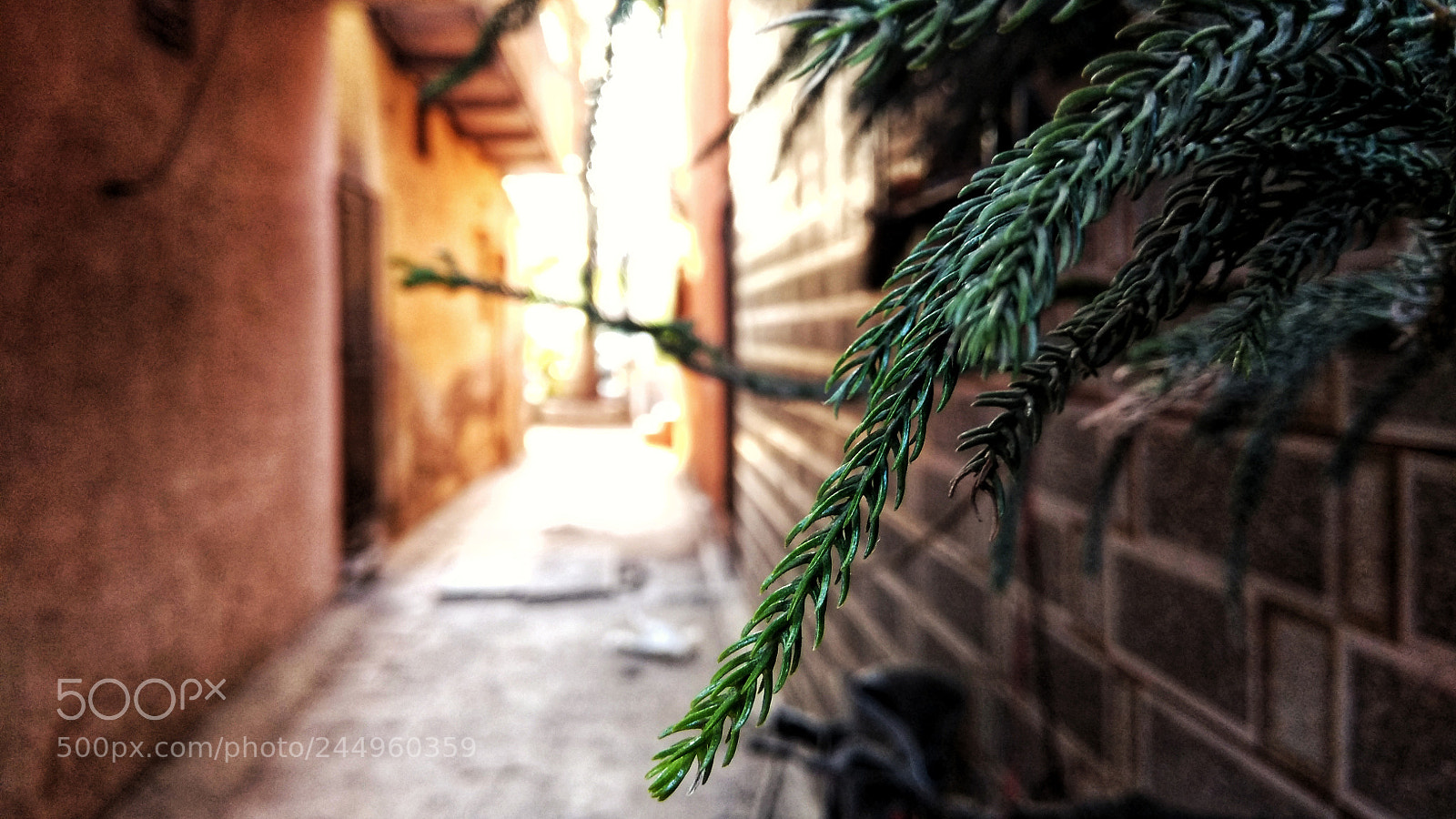 Xiaomi Redmi Note 4 sample photo. Through the lanes of photography