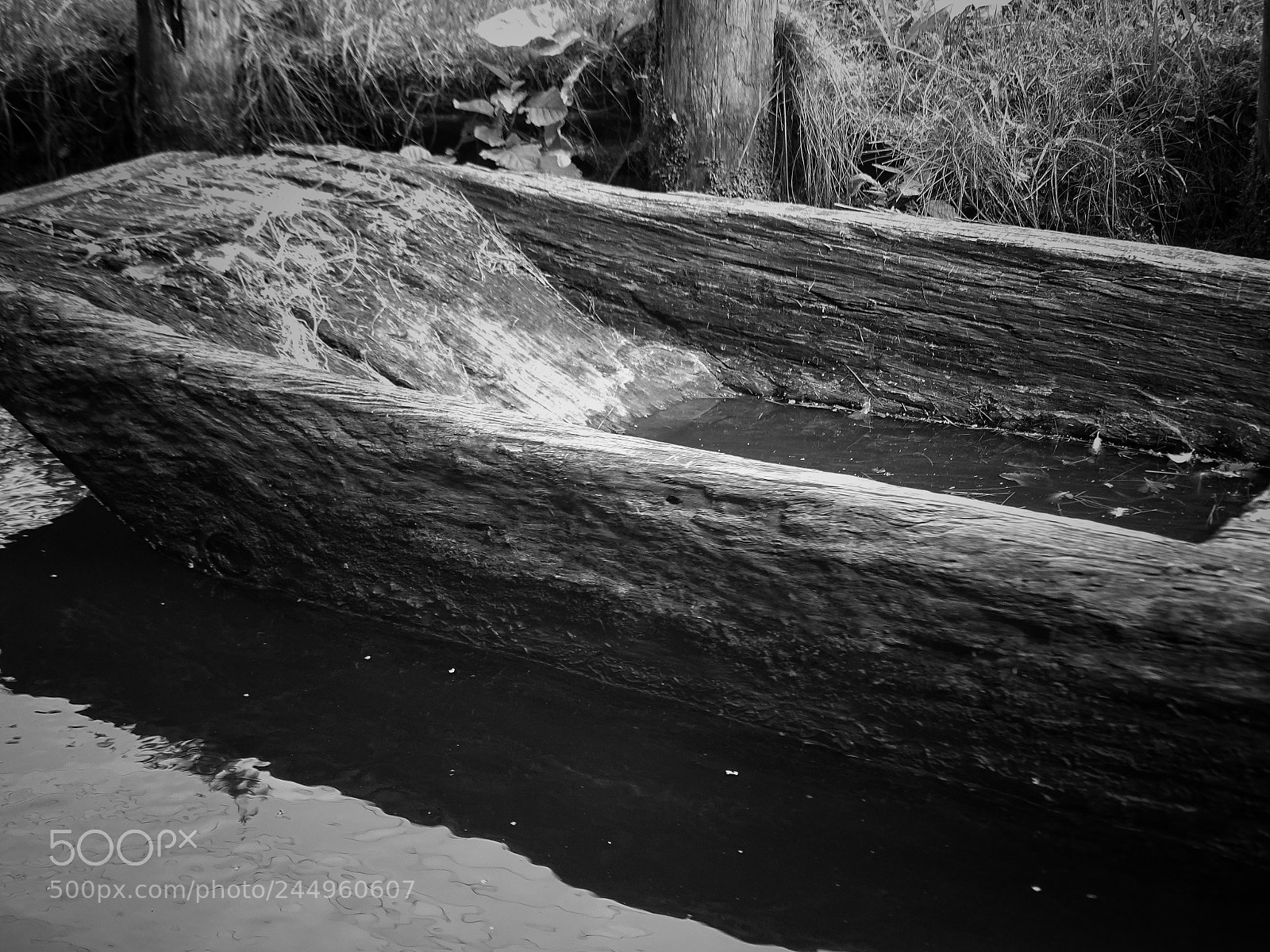 Sony Cyber-shot DSC-HX400V sample photo. Loboat photography