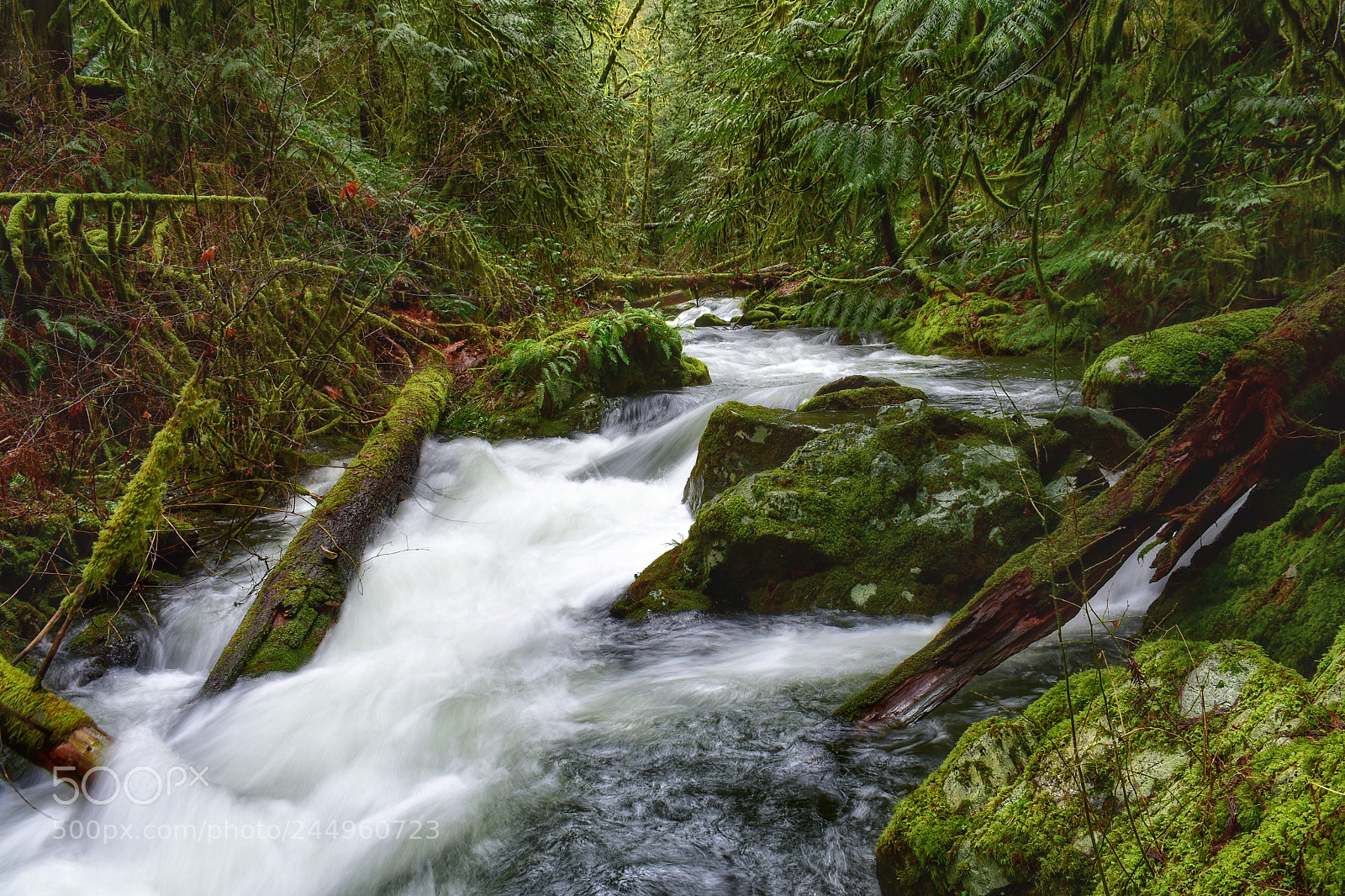Nikon D3400 sample photo. Goldstream river photography