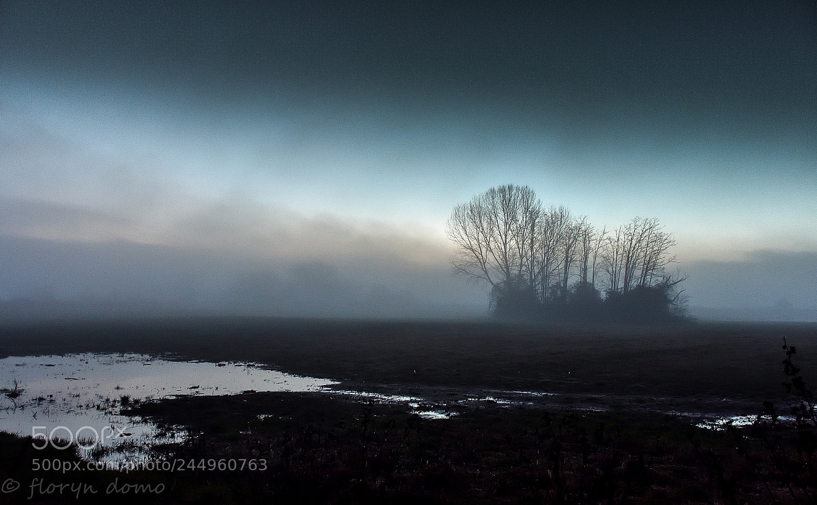 Nikon D7200 sample photo. The first light of photography