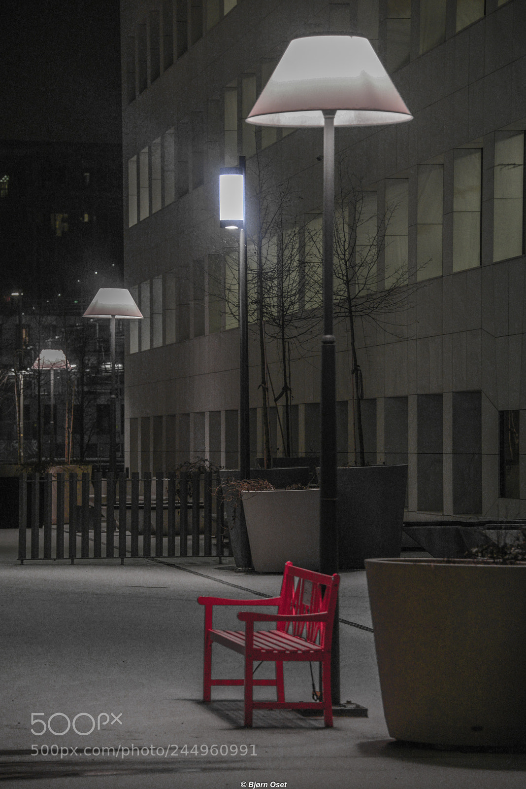 Nikon D610 sample photo. The red bench photography