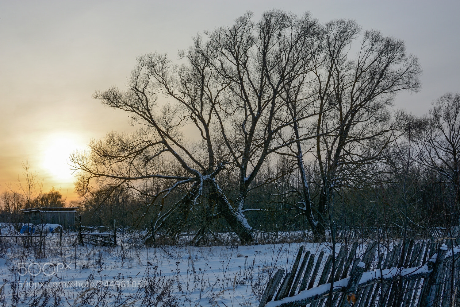 Nikon D7100 sample photo. В ладонях бытия...Январский вечер... photography