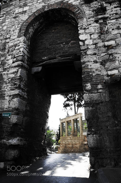 Nikon D300S sample photo. Untitled photography