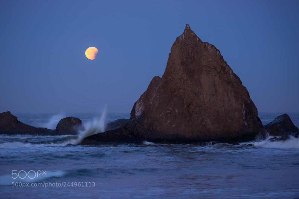 Nikon D810 sample photo. Full moon at martins photography