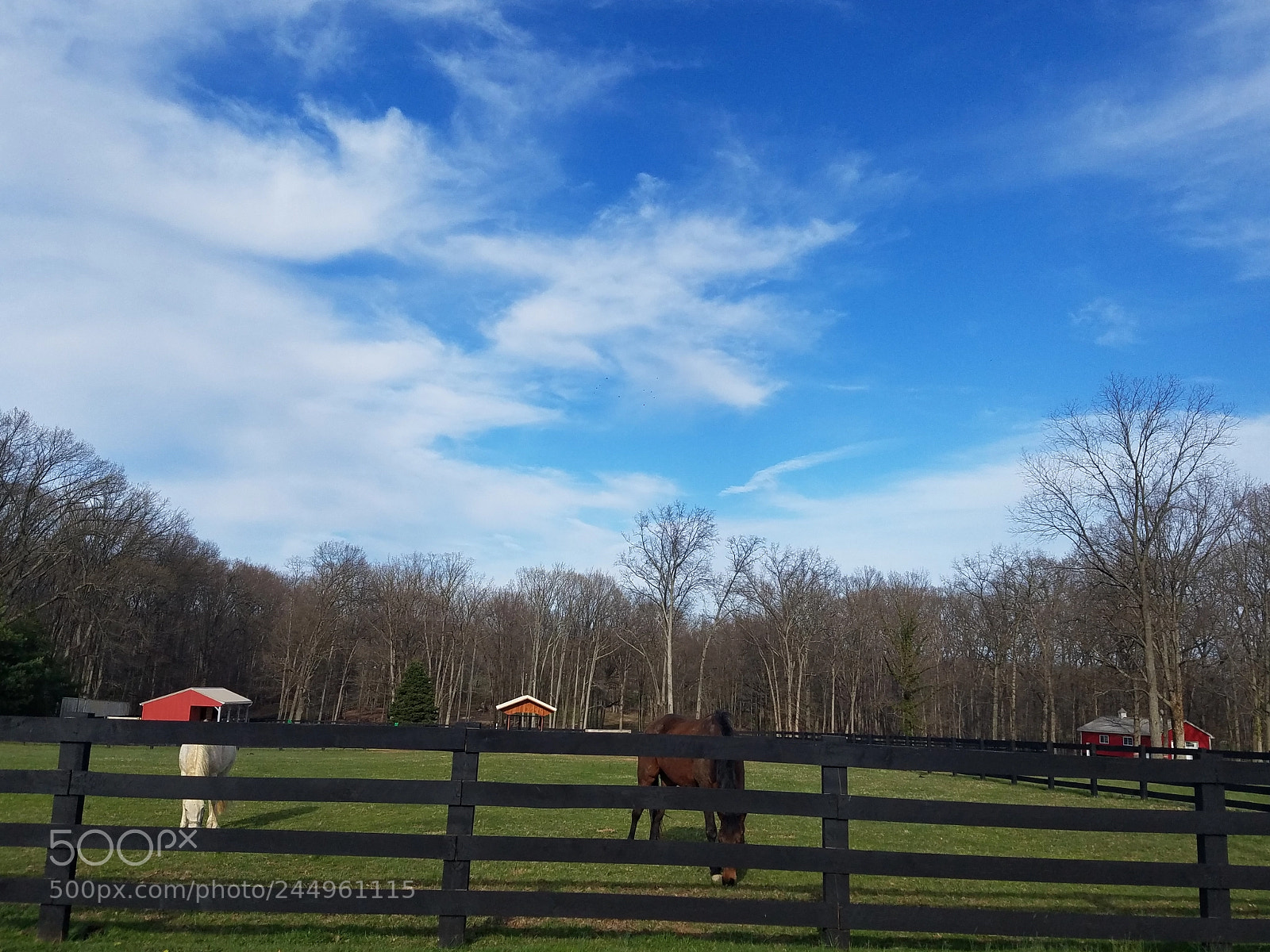 Samsung Galaxy S7 sample photo. 20170408_173947.jpg photography