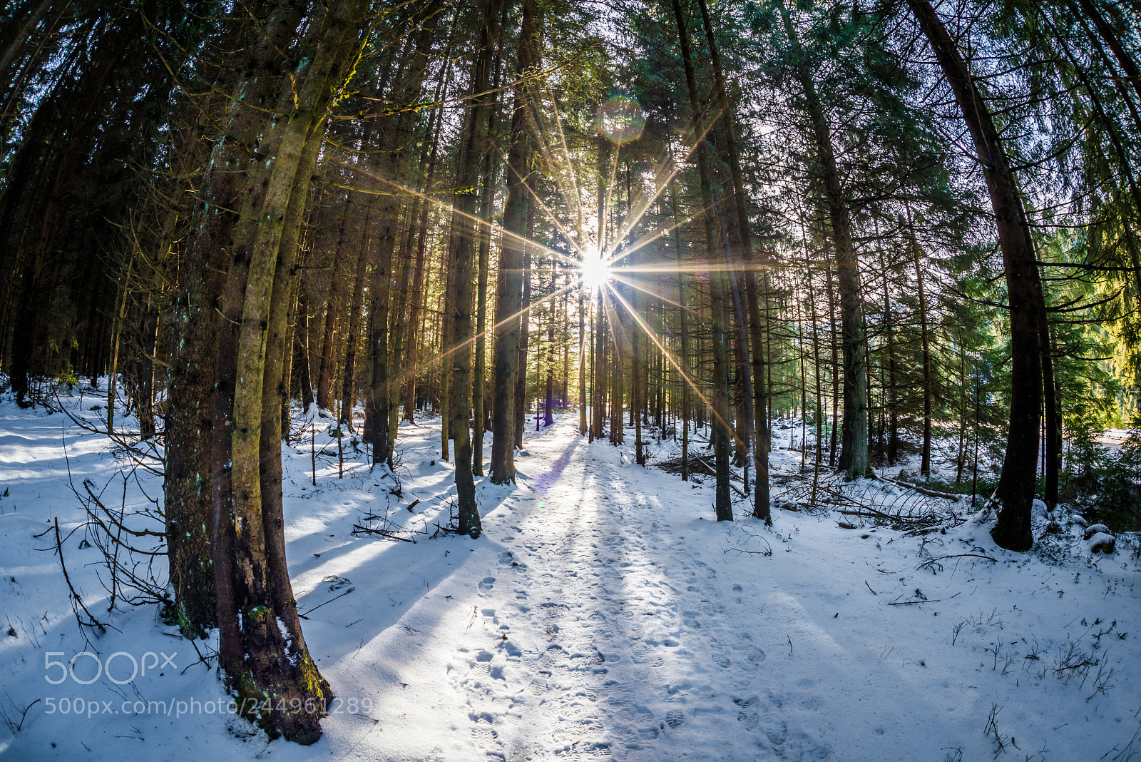 Nikon D810 sample photo. Little bit of warmth photography