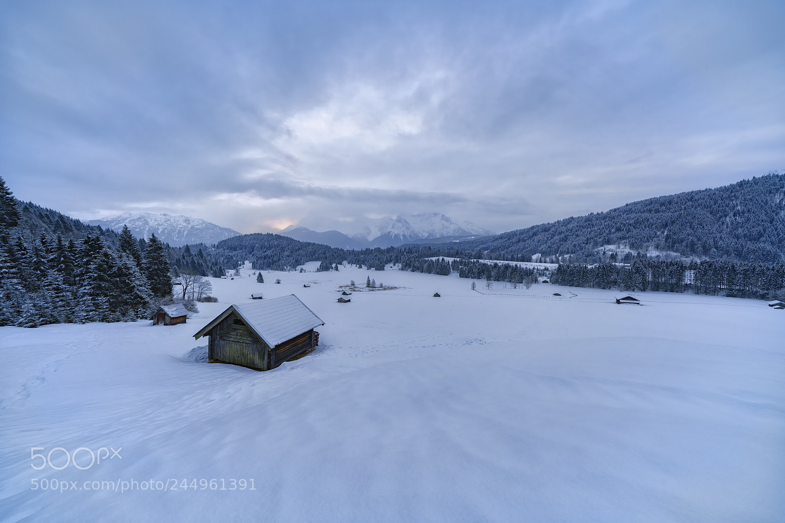 Sony a7R III sample photo. Winter wonderland photography
