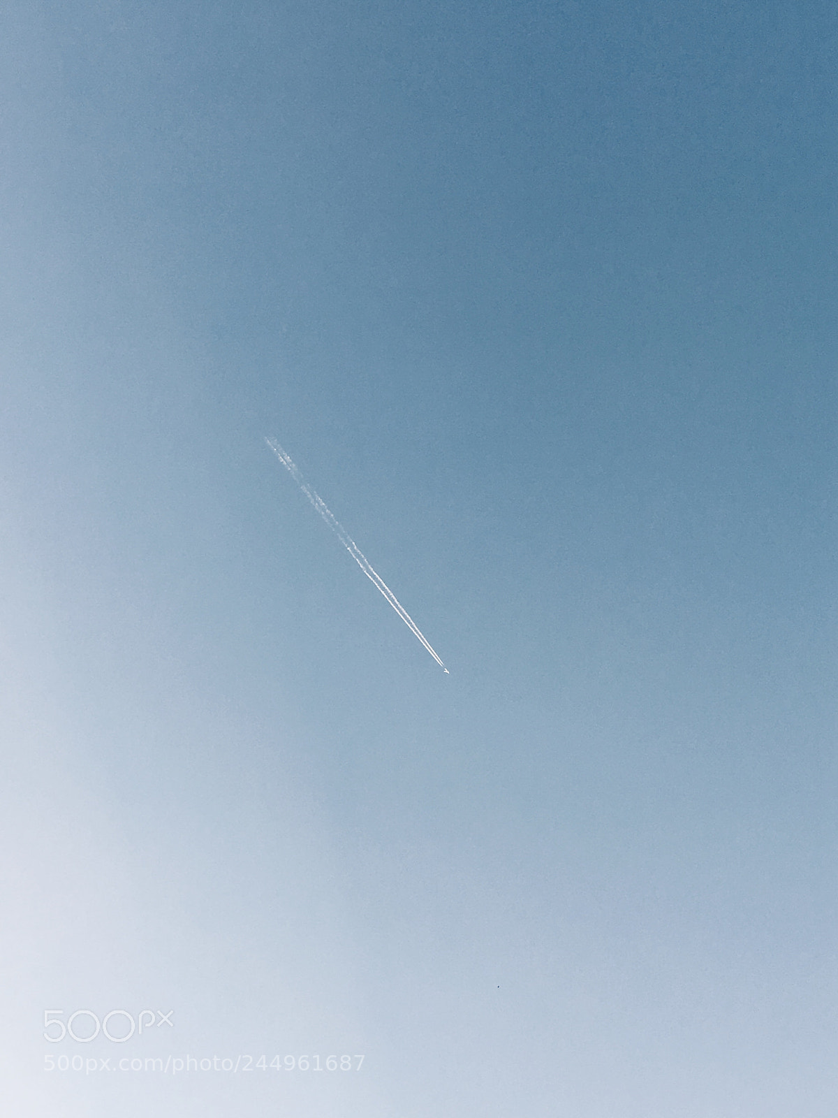 Apple iPhone 6s sample photo. Untitled photography